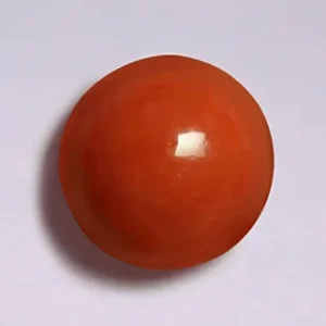 Red Coral - 3.44 Carats
