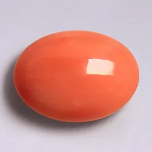 Red Coral - 4.07 Carats