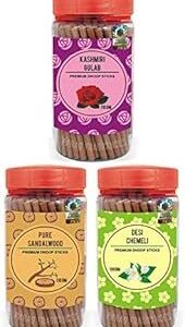 SGV Chandan Sticks & Guggul Small Cones Combo