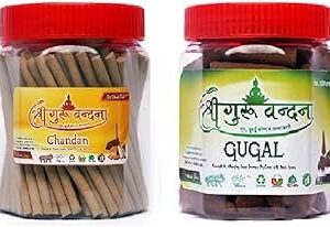 SGV Guggal Box & Chandan Agarbatti Combo