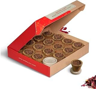 Parag Fragrances Rajnigandha Dhoop Sticks (100g)